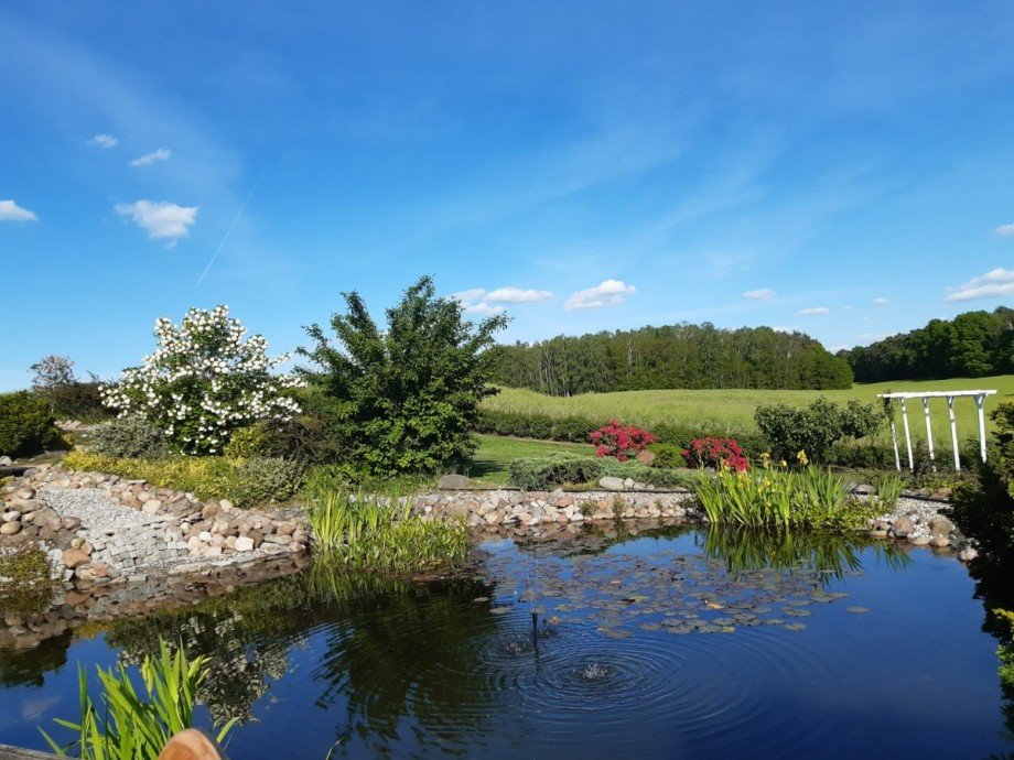 Teich Sommer Einfamilienhaus Treplin