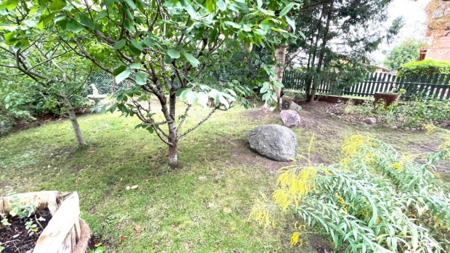 Garten 1 Einfamilienhaus Berlin