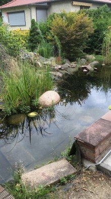 Auch EFH m�glich! +Neu+Mahlsdorf-S�d+hinteres Grundst�ck!
