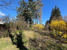 Garten Rarit�t in Biesdorf (mit viel Potenzial nahe S-Bahnhof Biesdorf)
