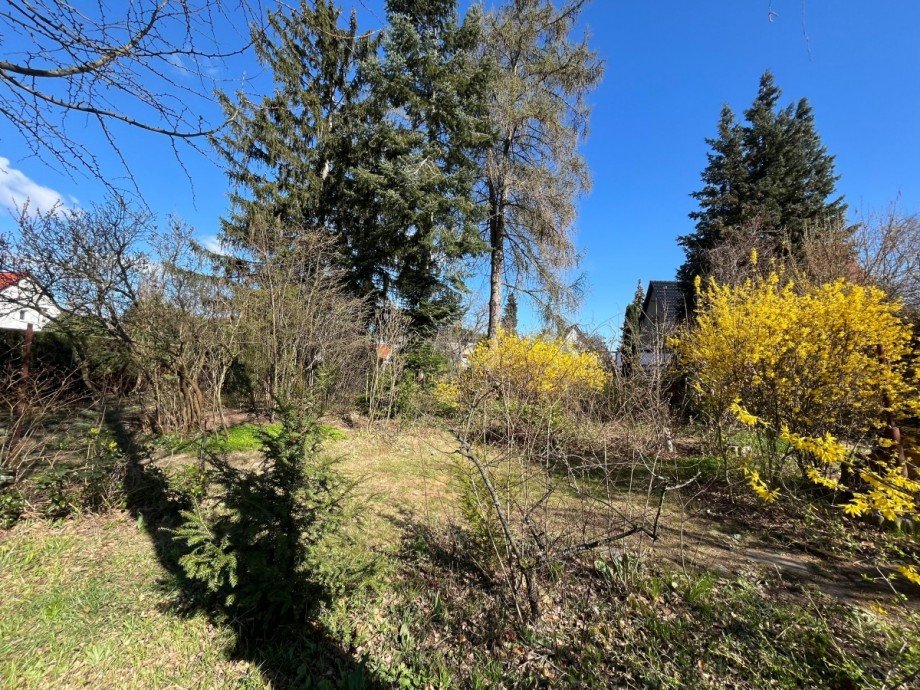 Garten Doppelhaush�lfte Berlin