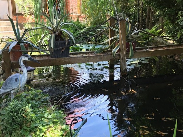 Teich Einfamilienhaus Berlin