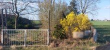 Grundst�ck Traumgrundst�ck(kein Bauland) in Wandlitz