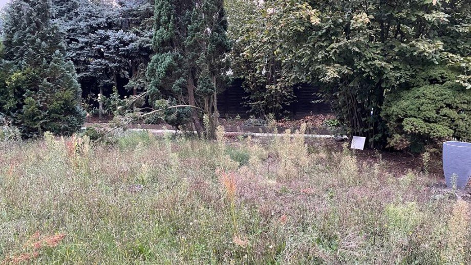 Garten Einfamilienhaus Fredersdorf-Vogelsdorf