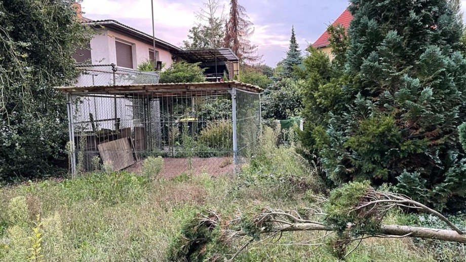 Blick aus dem Garten Einfamilienhaus Fredersdorf-Vogelsdorf