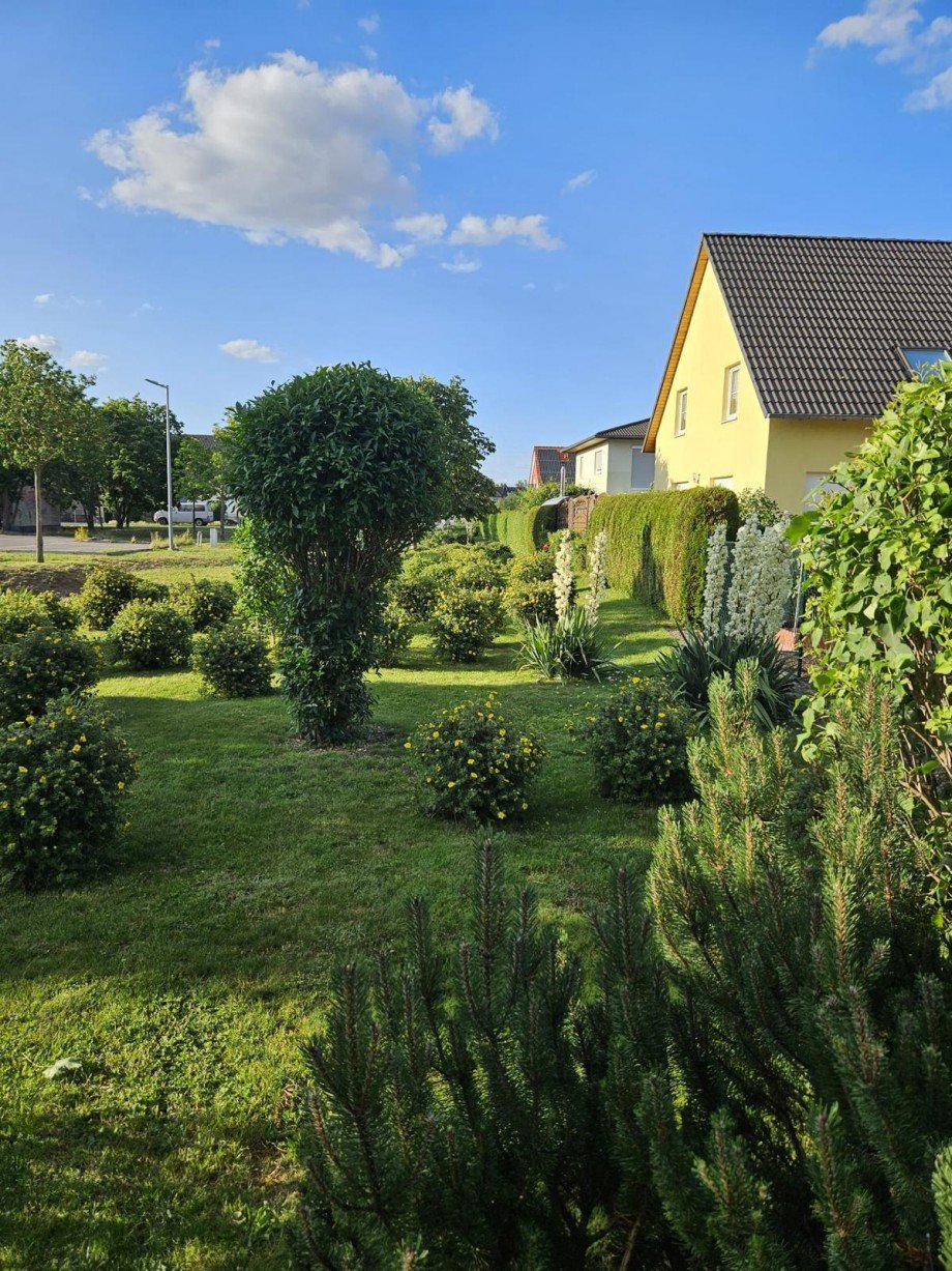 Gr�nfl�che neben dem Grundst�ck Einfamilienhaus Berlin