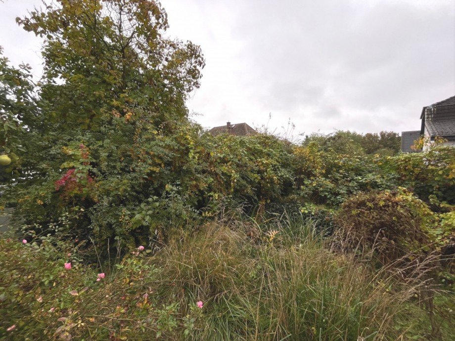 Vorgarten Einfamilienhaus Berlin