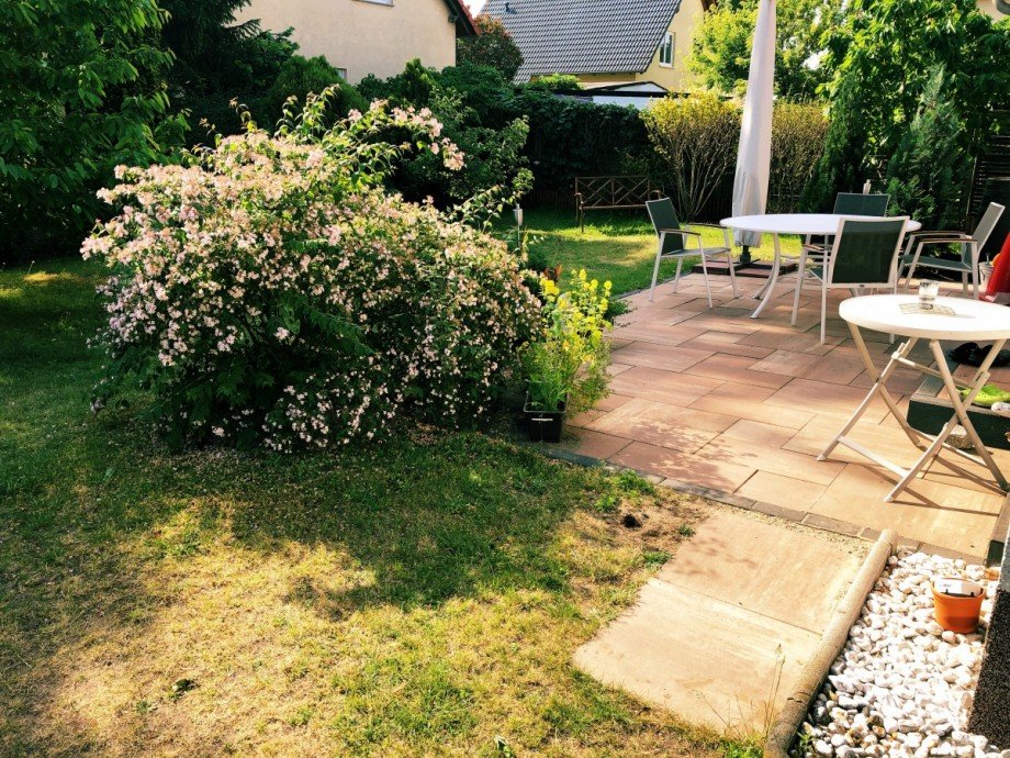 Terrasse Einfamilienhaus Berlin