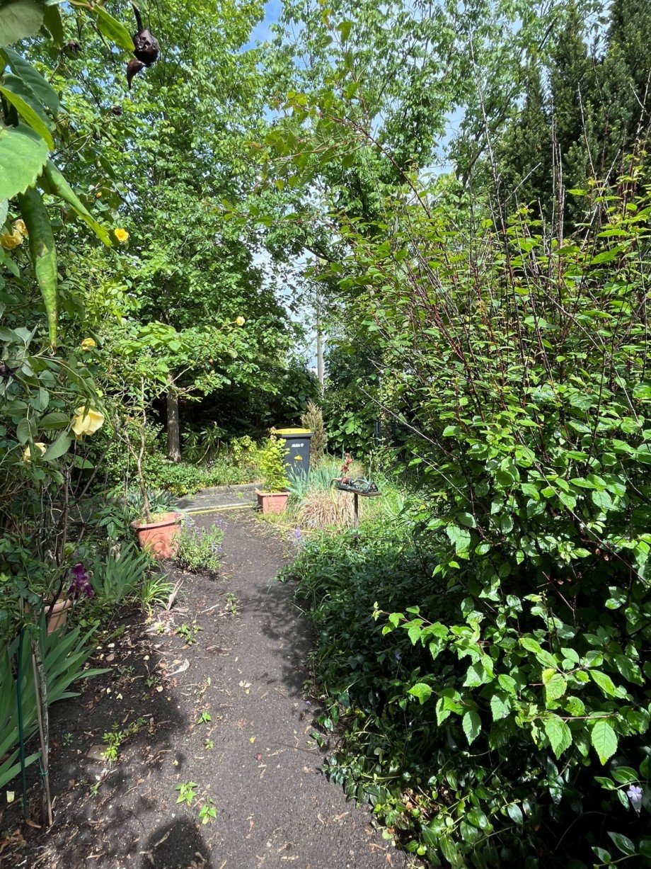 Vorgarten Einfamilienhaus Berlin