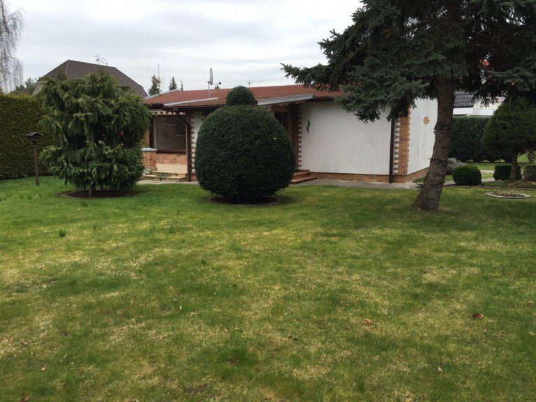 Blick vom Garten Berlin Bungalow Neu: gem�tlicher Bungalow mit Garage in Kaulsdorf S�d Nahe Habermannsee