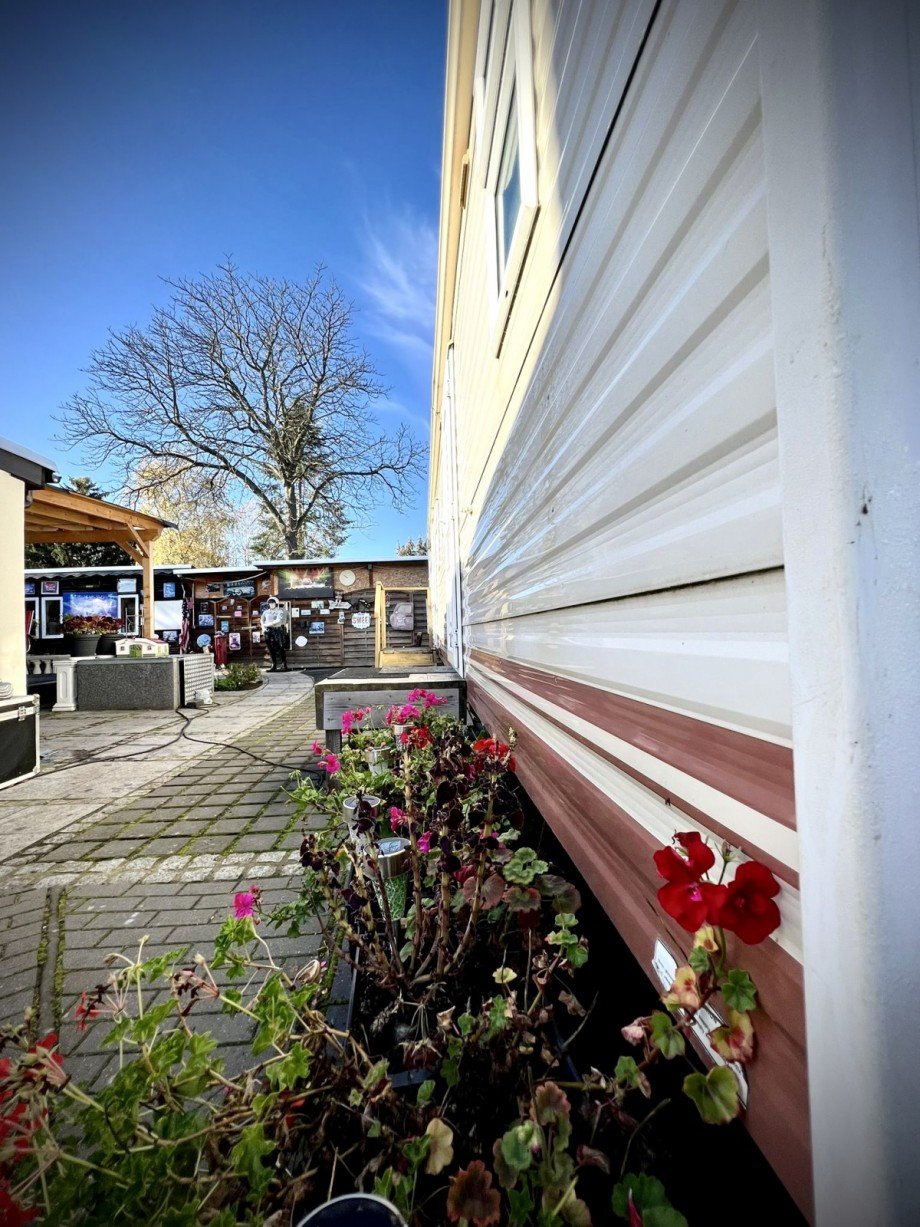 Blick zum Hinterhof Bungalow Berlin