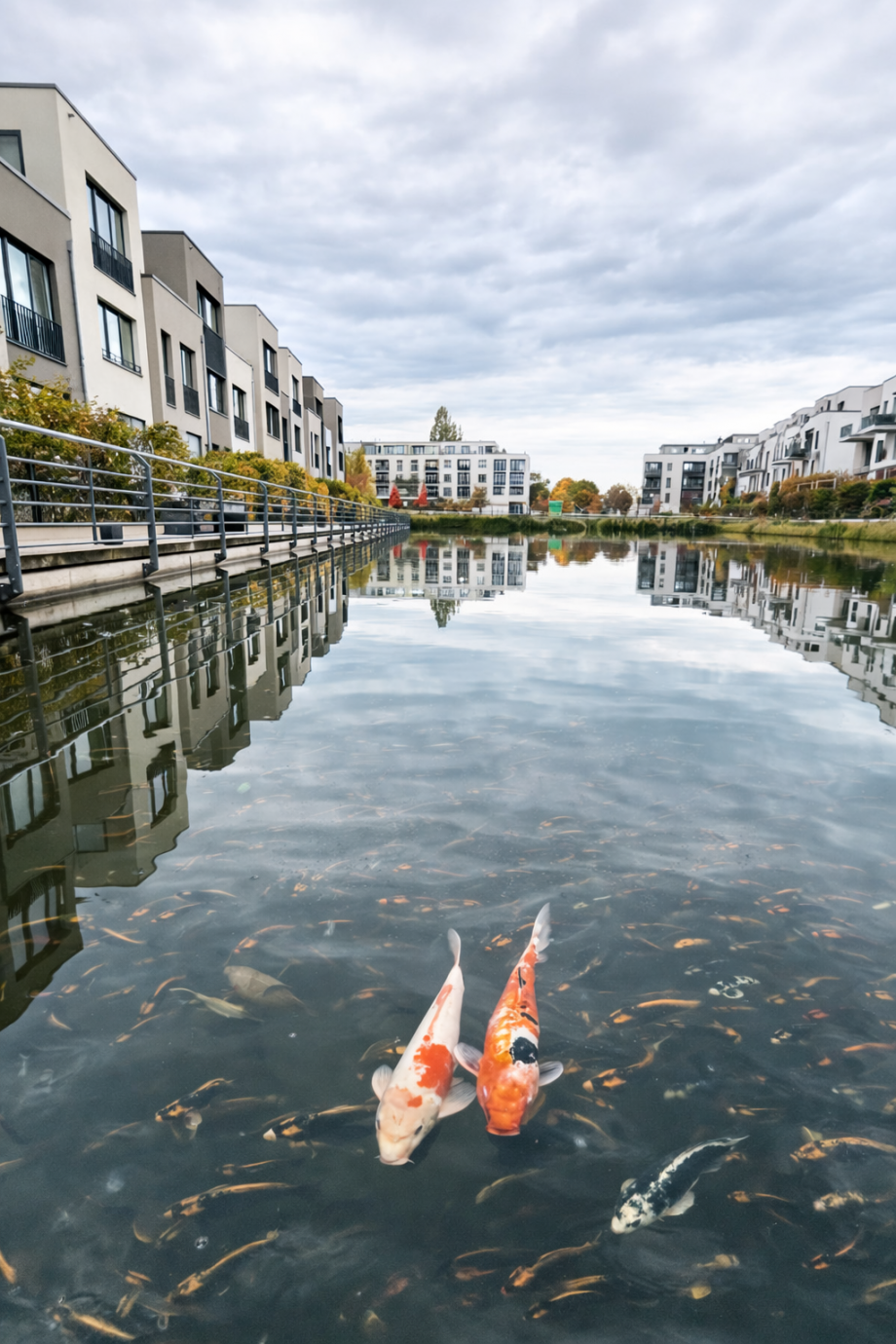 Perspektive 2 Wohnung Berlin