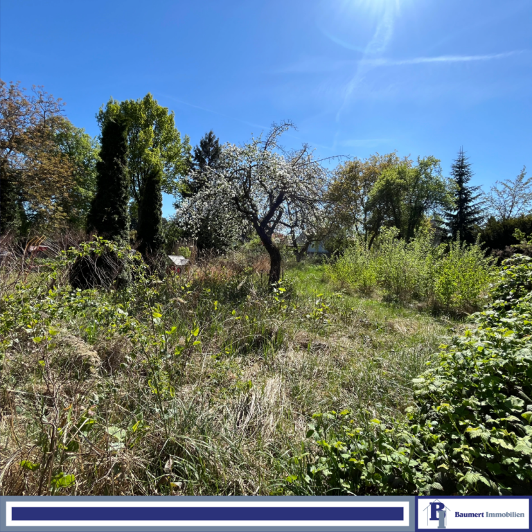 Baugrundst�ck Berlin Wohngrundst�ck Ihr Platz zum Tr�umen: Gro�z�giges Baugrundst�ck in bester Lage von Mahlsdorf