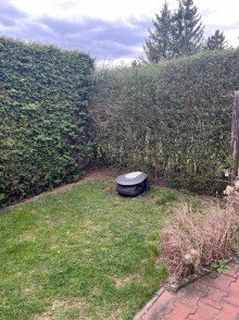 Rasenm�hroboter Oranienburg-Schmachtenhagen: Charmantes Einfamilienhaus mit Vollkeller, 2 B�dern und Garten