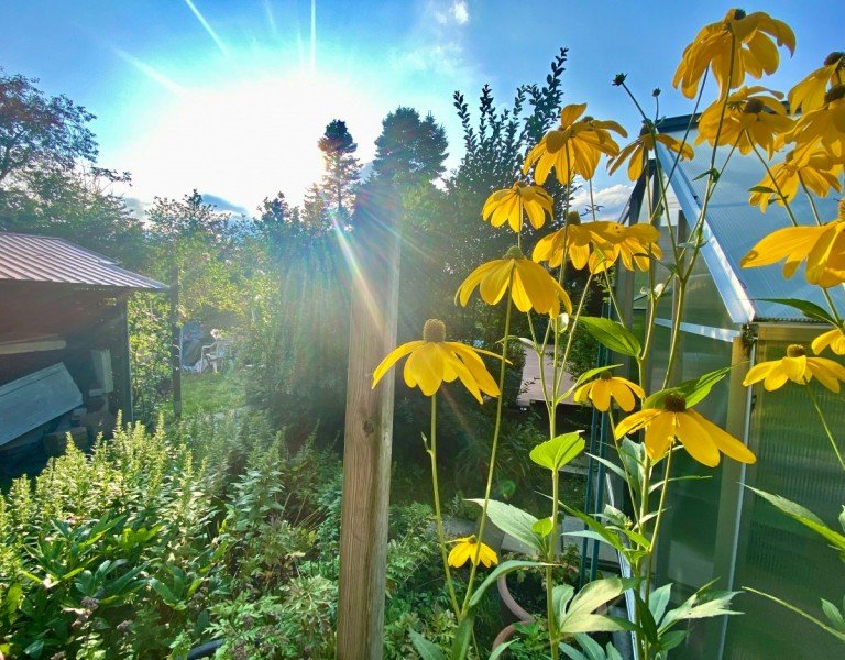 Garten Perspektive 5 Berlin Doppelhaush�lfte Wohlf�hloase mit Puppenh�uschen und Parkcharakter in Mahlsdorf Nord