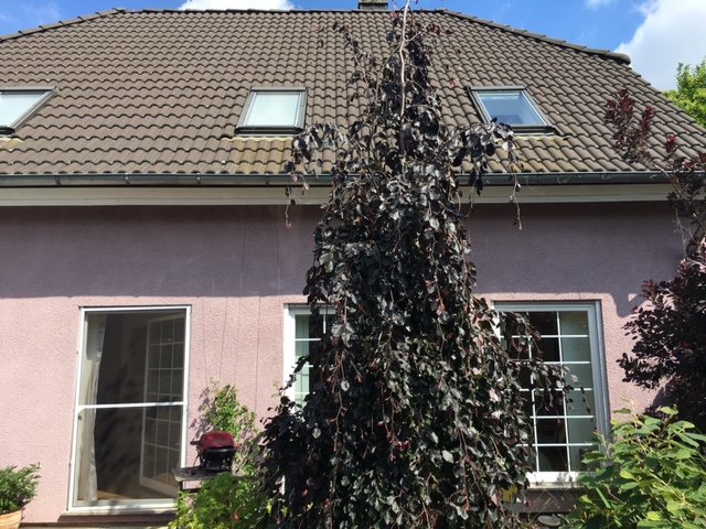 Terrassenseite Einfamilienhaus Berlin