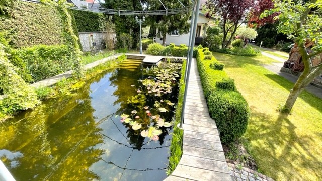 Schwimmteich 4 Einfamilienhaus Berlin