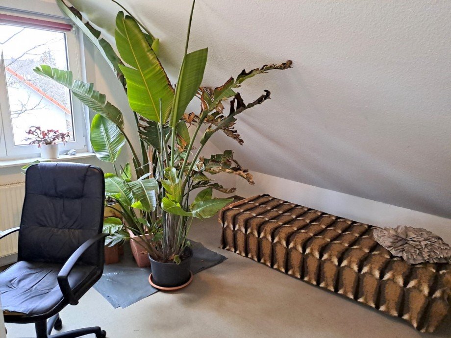 Arbeitszimmer DG Einfamilienhaus Berlin