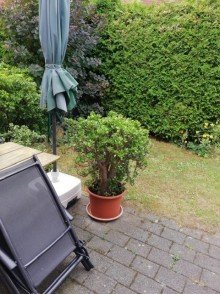 Garten und Terrasse Super Lage Kaulsdorf Nord Reihenmittelhaus Nahe S-Bahnhof Mahlsdorf