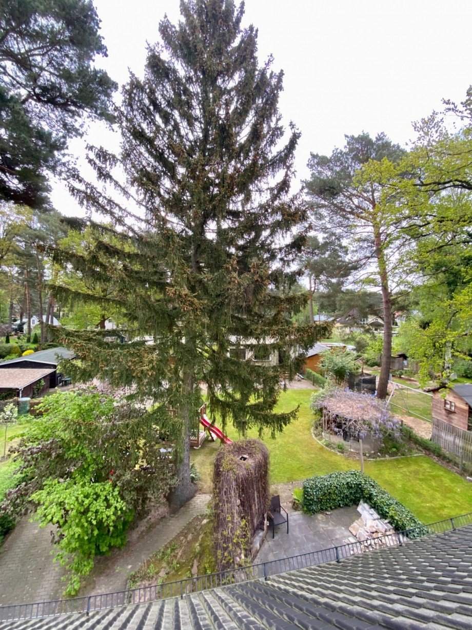 Blick in den Garten Einfamilienhaus K�nigs Wusterhausen