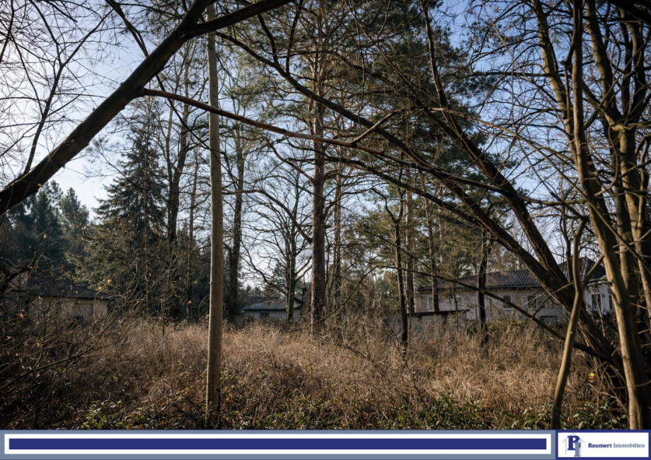 Grundst�ck Wohngrundst�ck Berlin