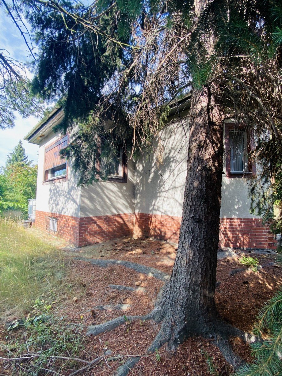 Aussenansicht Einfamilienhaus Berlin