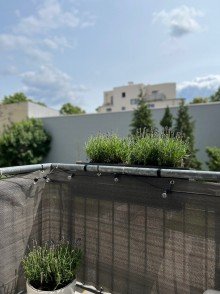 Balkon Provisionsfrei moderne & unvermietete 2 Raum Wohnung in Adlershof