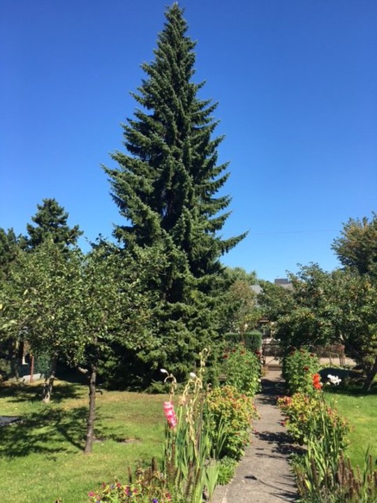 Gartenansicht Wohngrundst�ck Berlin