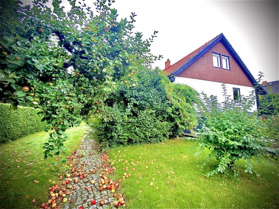 Ansicht Einfamilienhaus Berlin