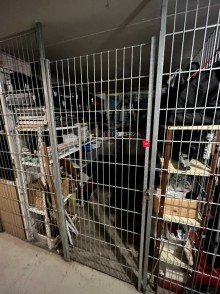 Kellerabteil Traumwohnung mit Garten am S-Kaulsdorf - Bezugsfrei ab 01.04.2024