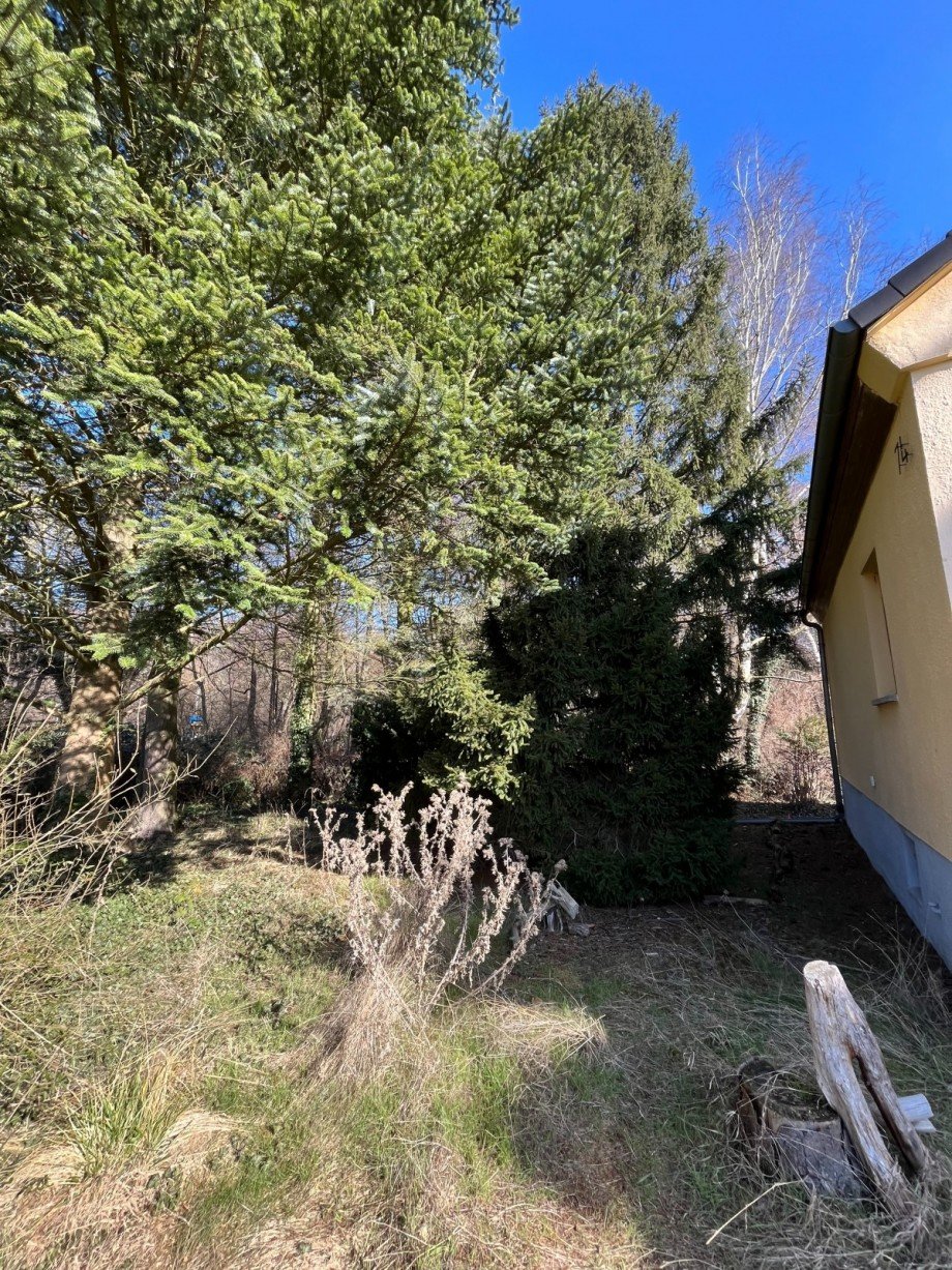 Garten vor dem Haus Einfamilienhaus Hoppegarten