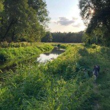 Erpetal Neuwertiges EFH in Mahlsdorf S�d Seen�he