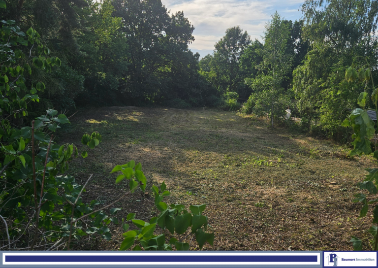 Grundst�ck Neuenhagen Wohngrundst�ck Zwischen Wald und Weite: Baugrundst�ck im gr�nen Neuenhagen