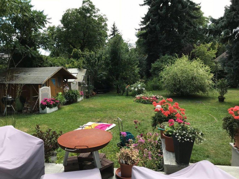 Blick in den Garten Einfamilienhaus Berlin