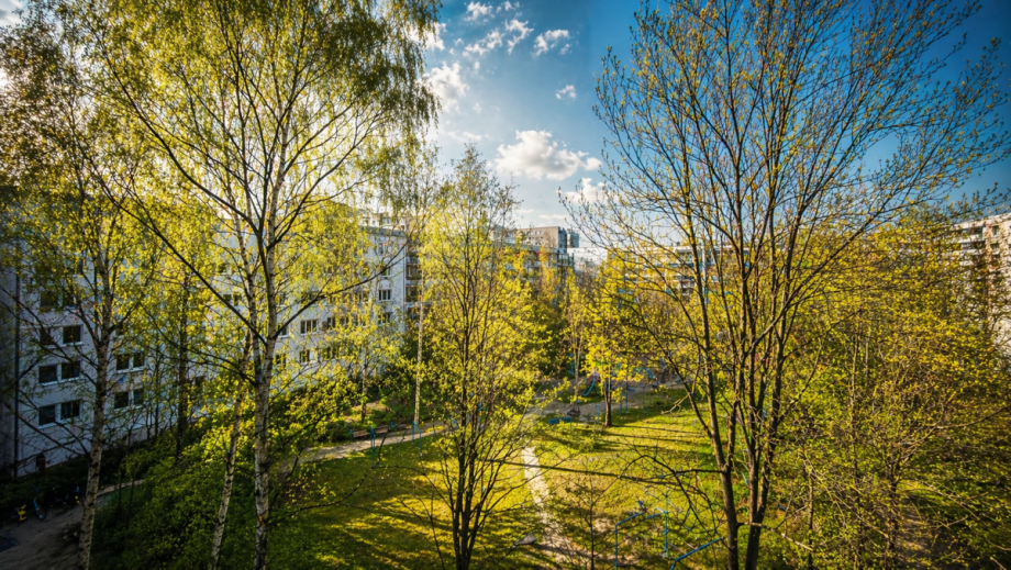 Blick aus dem Schlafzimmer Etagenwohnung Berlin