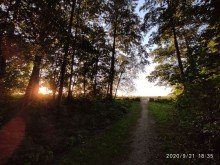 obj_1280x960_138443_035 Liebhaberst�ck f�r  Gro�stadtaussteiger in Mecklenburg