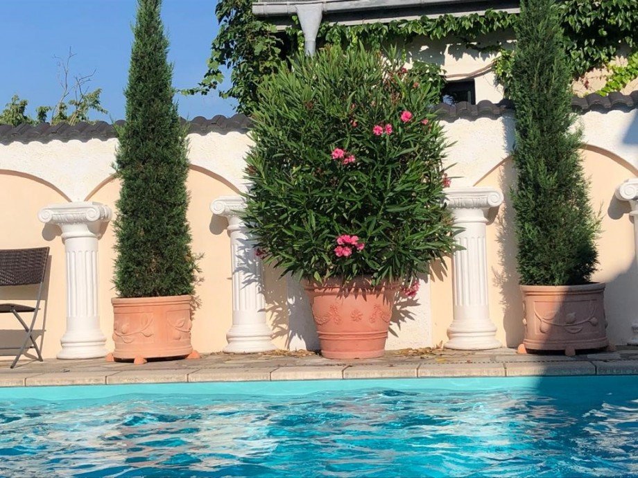Pool6 Einfamilienhaus Berlin