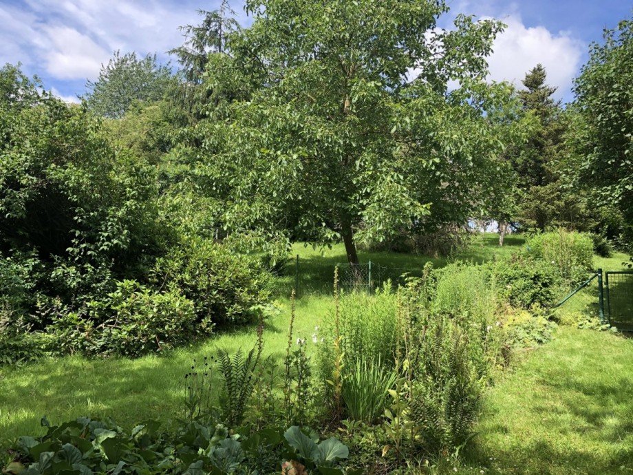Garten Einfamilienhaus Molfsee