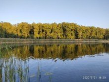 obj_1280x960_138443_037 Liebhaberst�ck f�r  Gro�stadtaussteiger in Mecklenburg