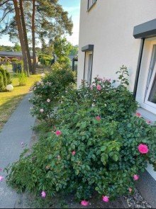 Blick von der Seite (2) Neu Stadtvilla  in Altlandsberg