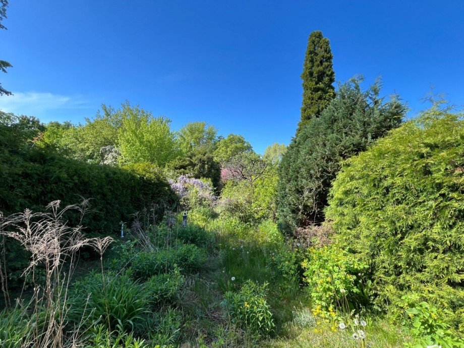 Garten Doppelhaush�lfte Berlin