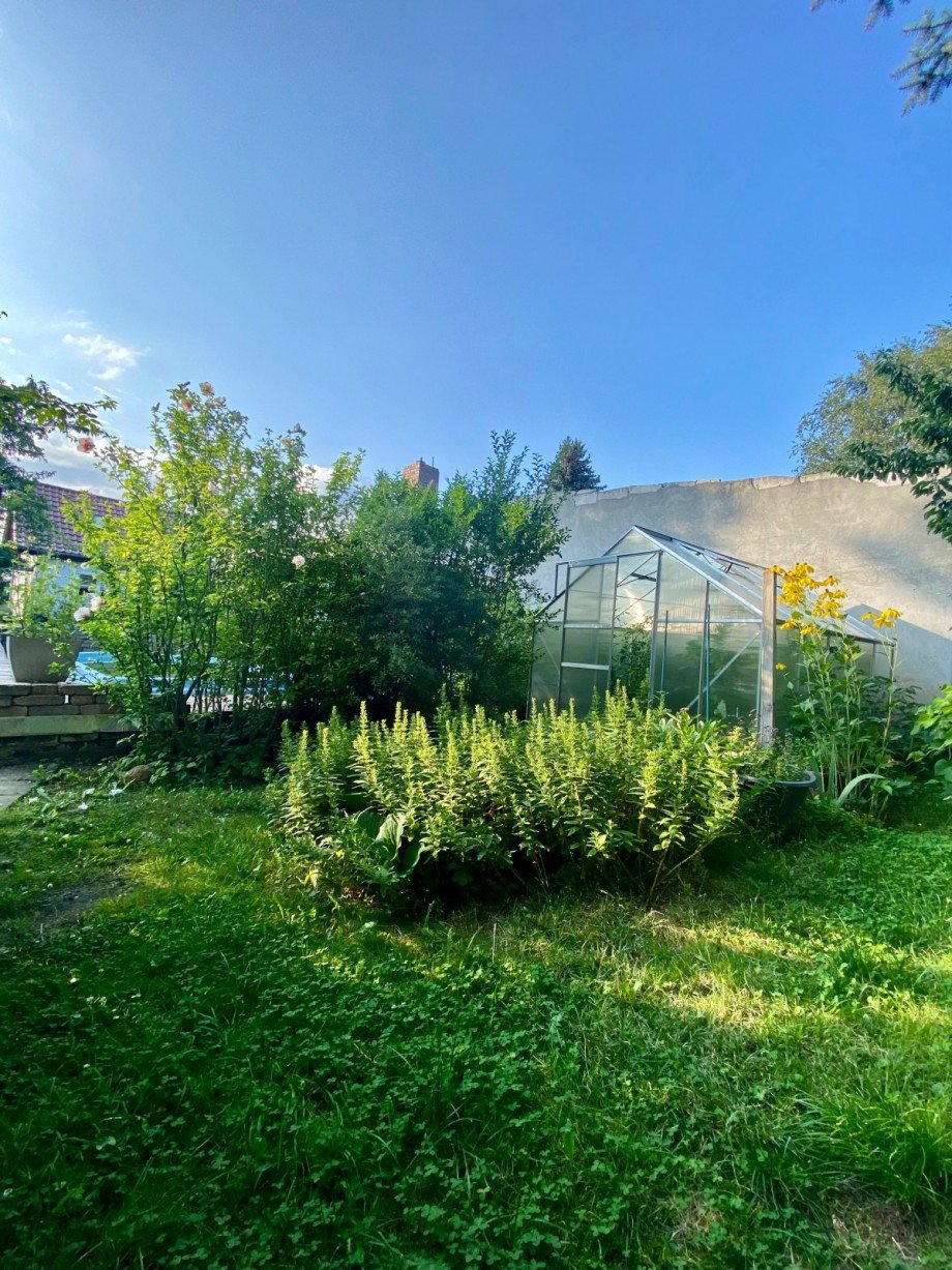 Gew�chshaus Doppelhaush�lfte Berlin